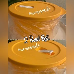 Tupperware CrystalWave Round Bowl Container Set (2)